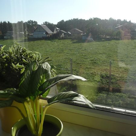 Ferienwohnung De Alpacaboerderij Bocholt Zimmer foto