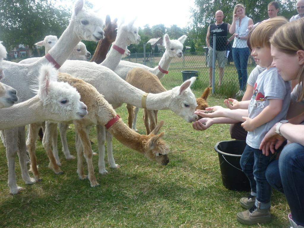 Ferienwohnung De Alpacaboerderij Bocholt Exterior foto