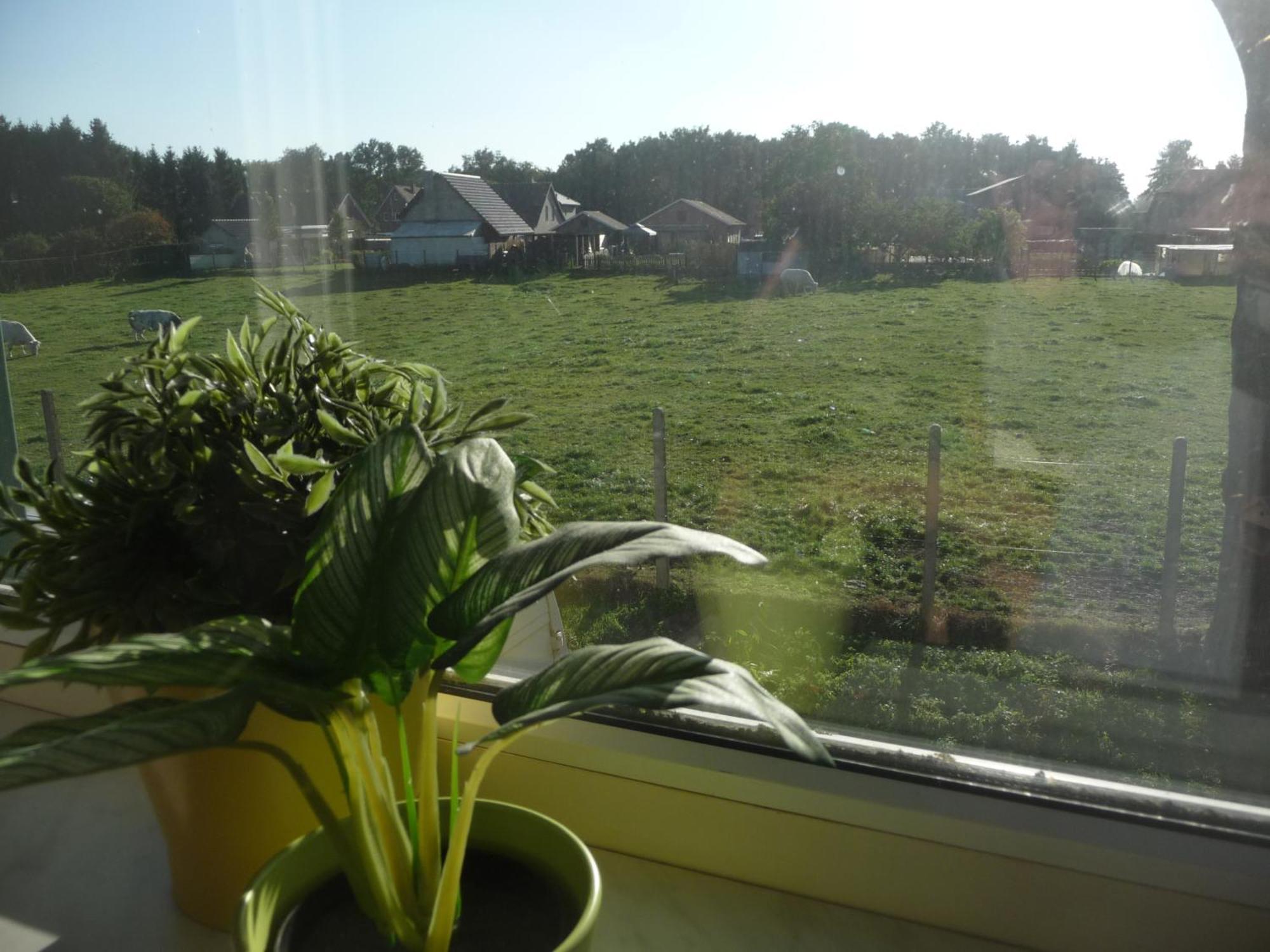Ferienwohnung De Alpacaboerderij Bocholt Zimmer foto