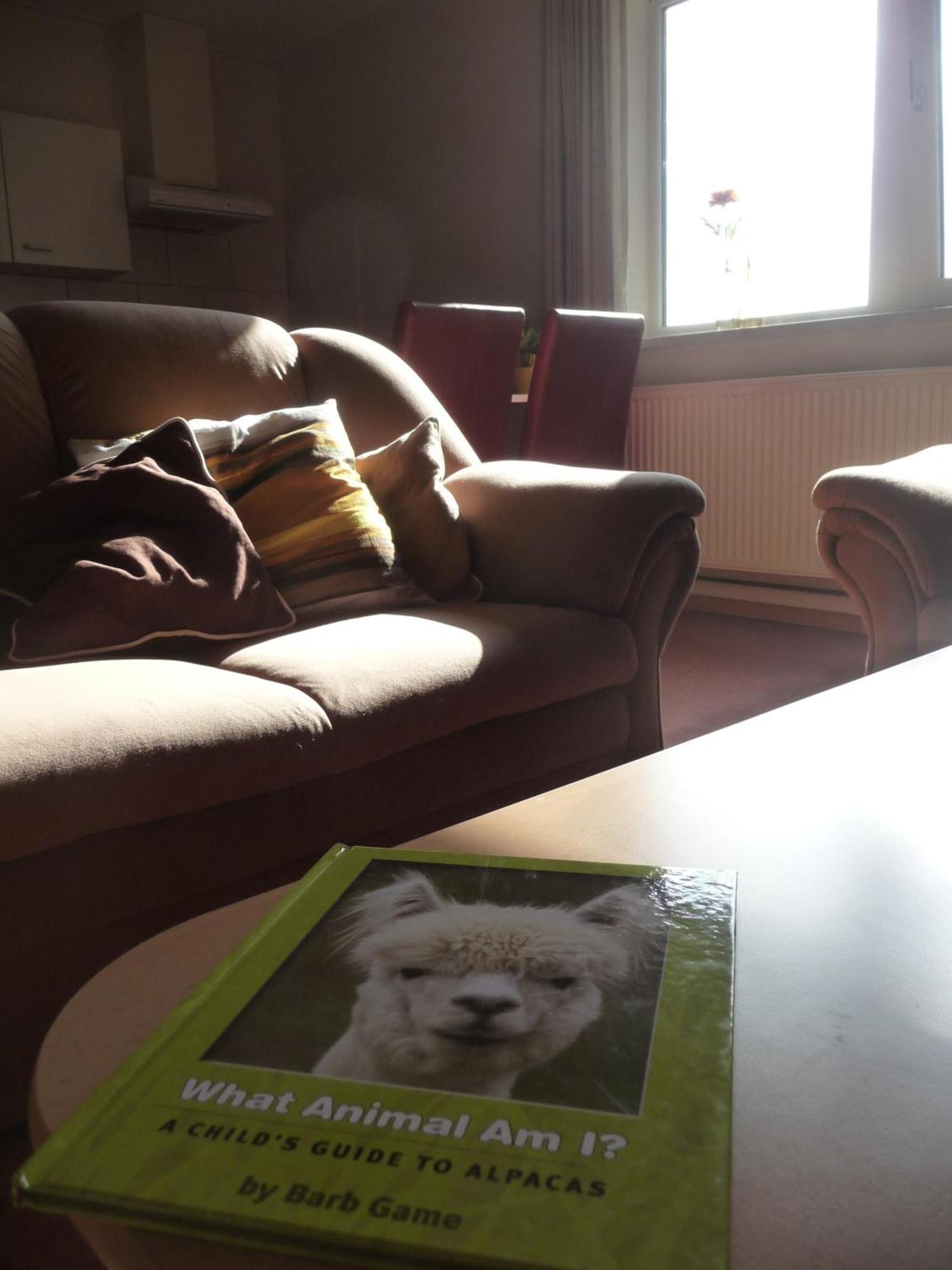 Ferienwohnung De Alpacaboerderij Bocholt Zimmer foto