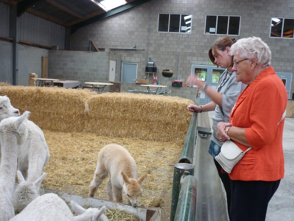 Ferienwohnung De Alpacaboerderij Bocholt Exterior foto
