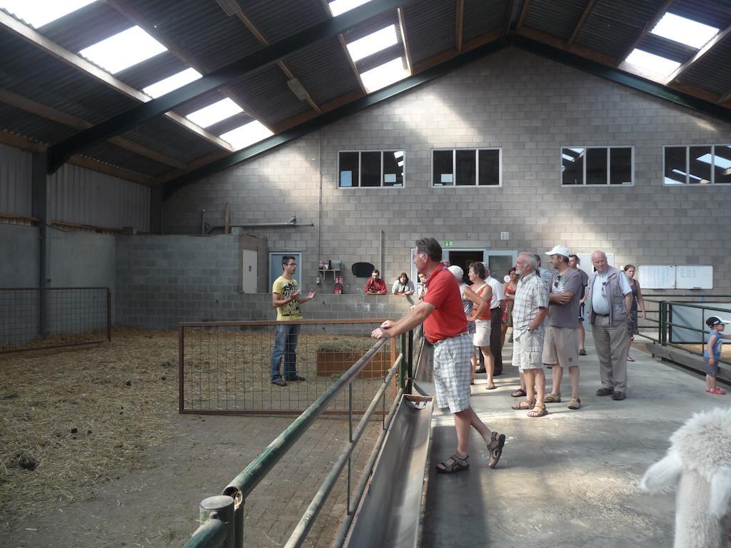 Ferienwohnung De Alpacaboerderij Bocholt Exterior foto